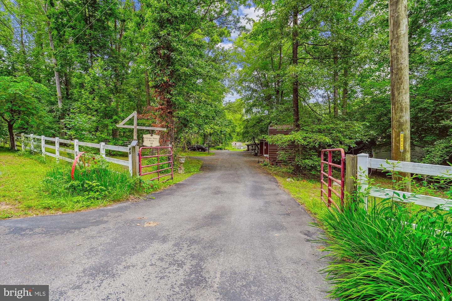 46 Misty Lane photo 87
