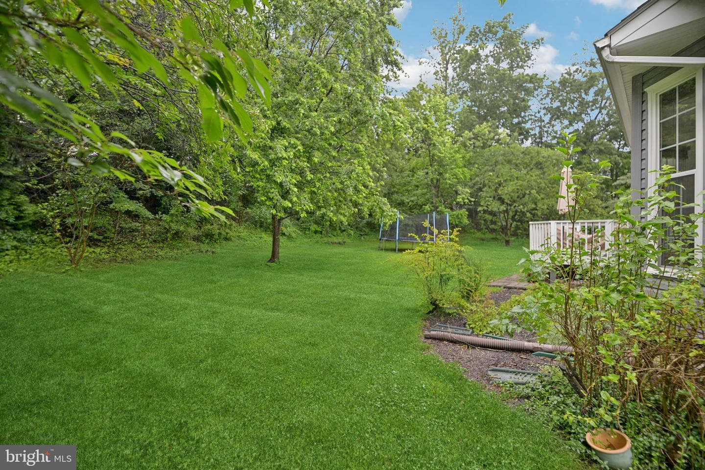 11 Chelsea Court photo 3