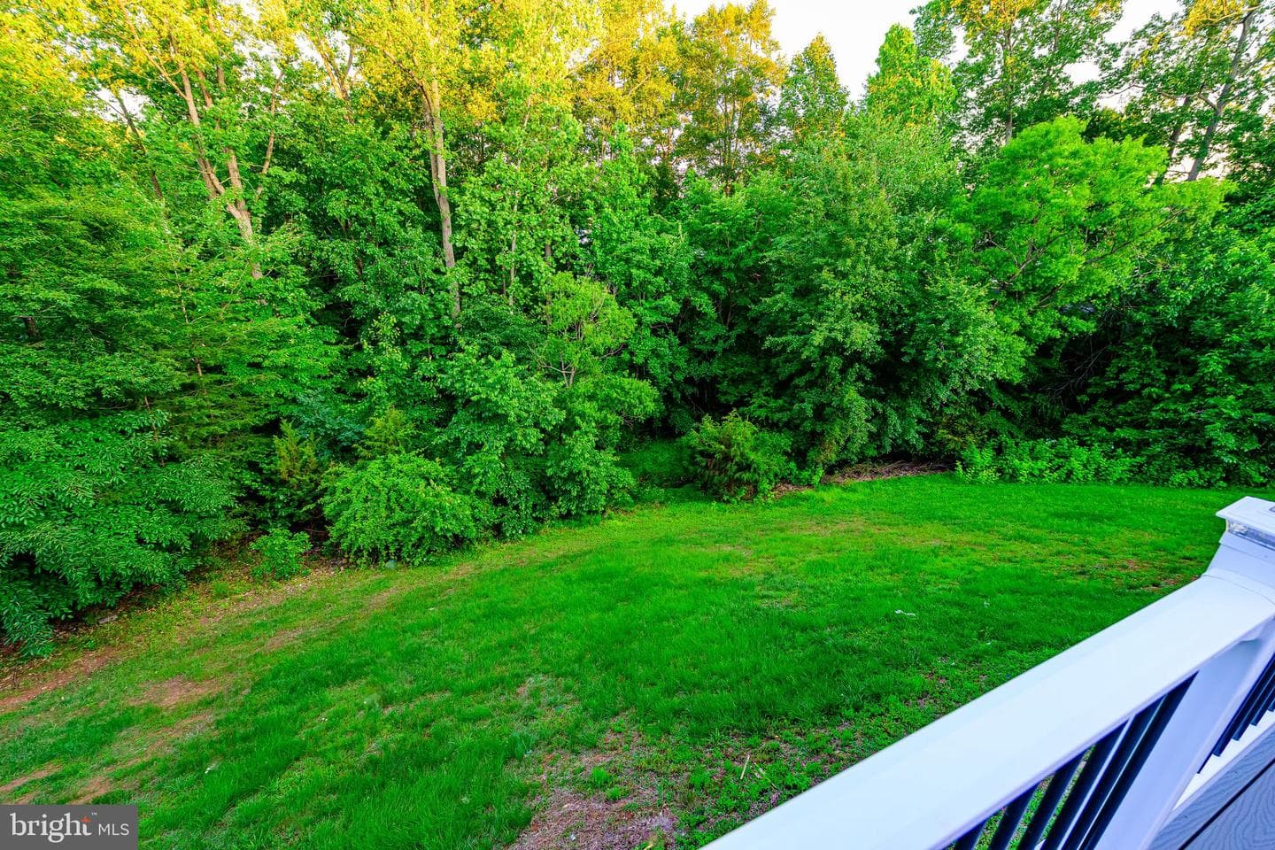 22 Thaxton Court photo 91