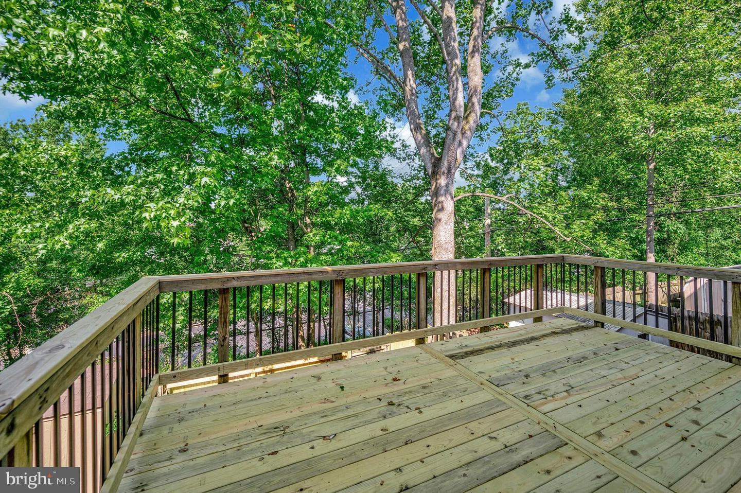 107 Oak Drive photo 43