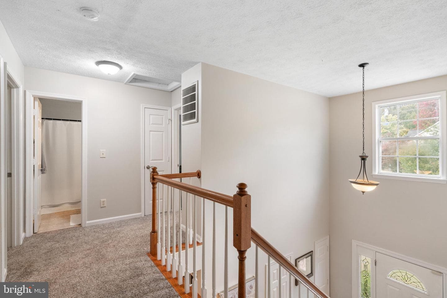 101 Theresa Drive photo 17