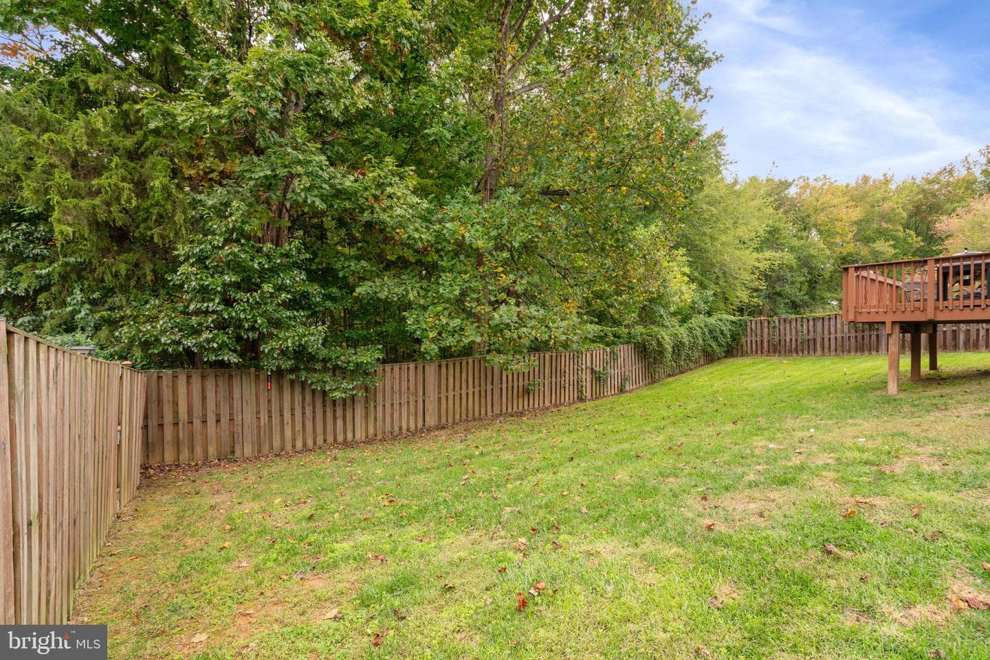 101 Theresa Drive photo 30