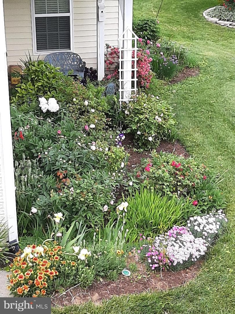 9 Brant Court photo 31