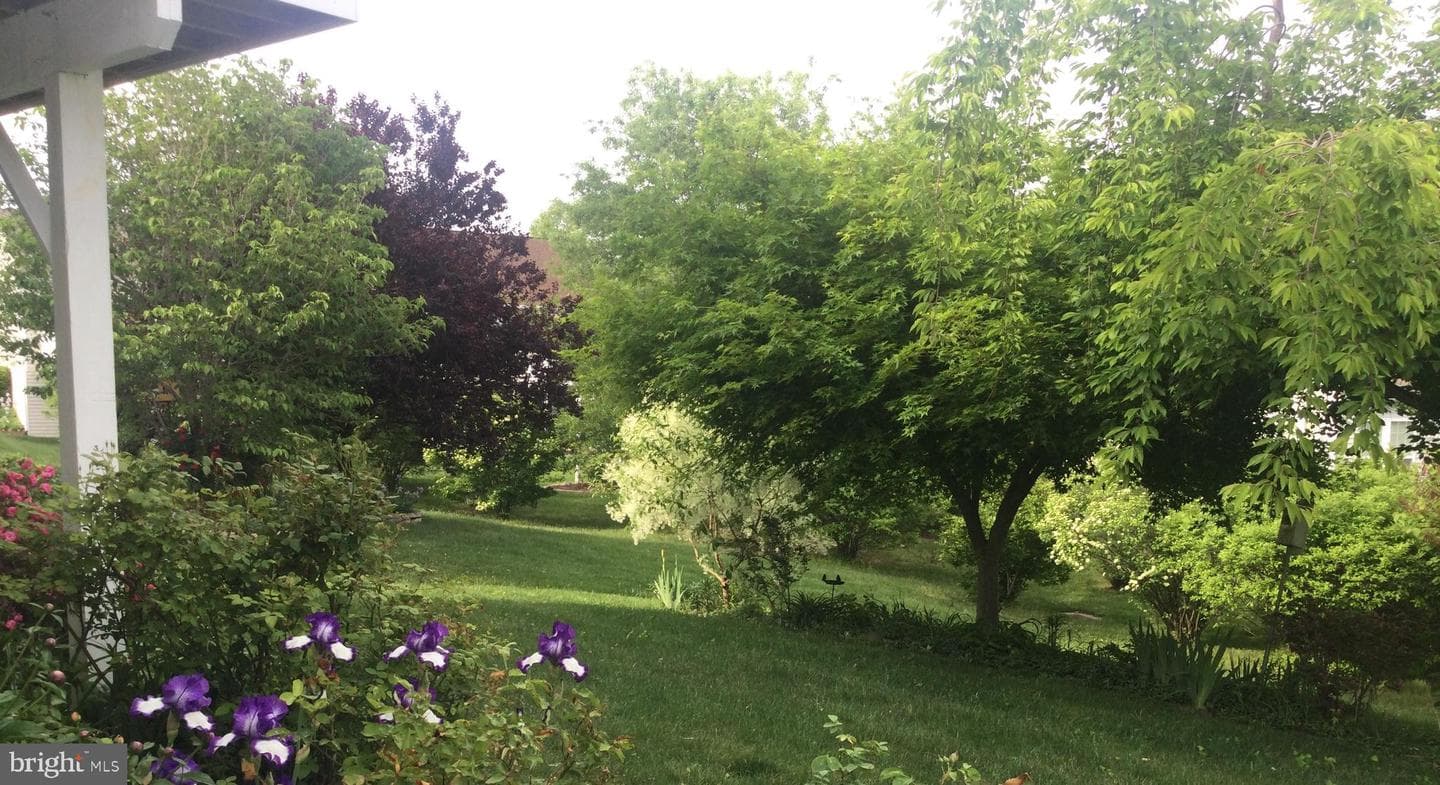 9 Brant Court photo 32
