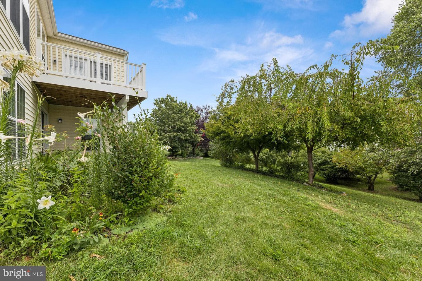 9 Brant Court photo 36