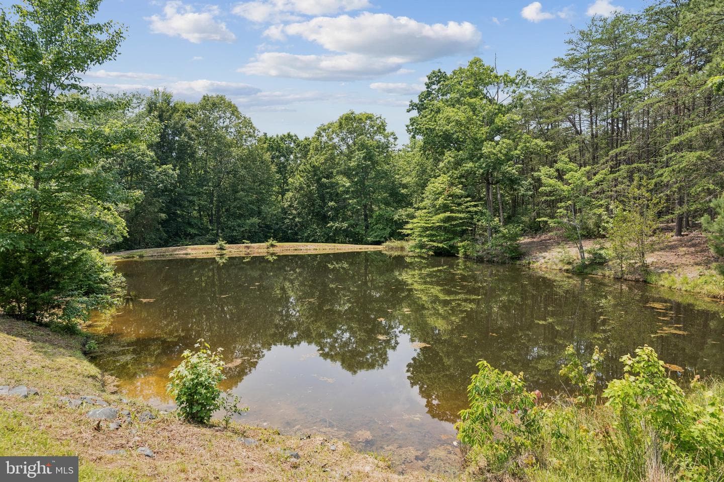 1039 Mountain View Road photo 38