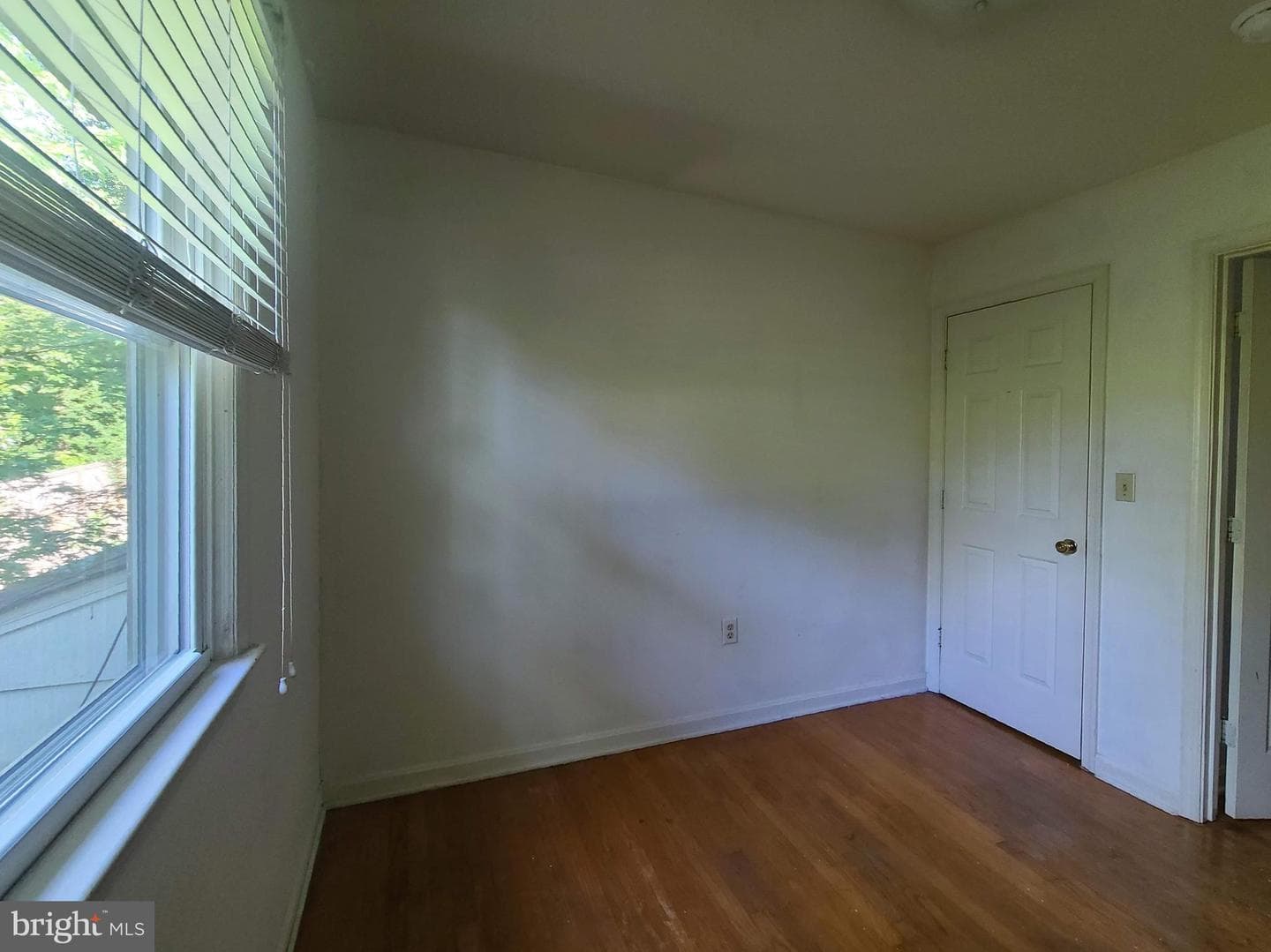 136 Falmouth Drive photo 12