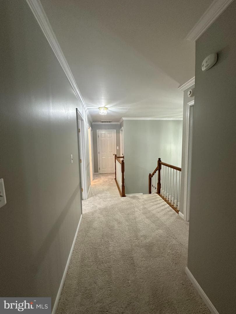 6 Oxen Court photo 41