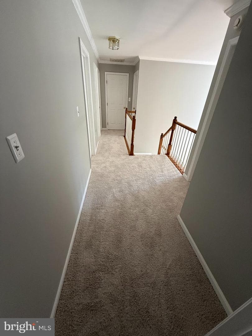 6 Oxen Court photo 47