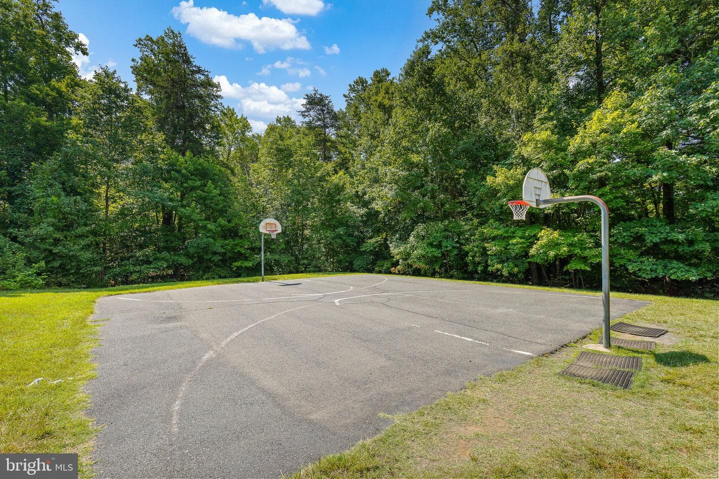 8 Westchester Court photo 39