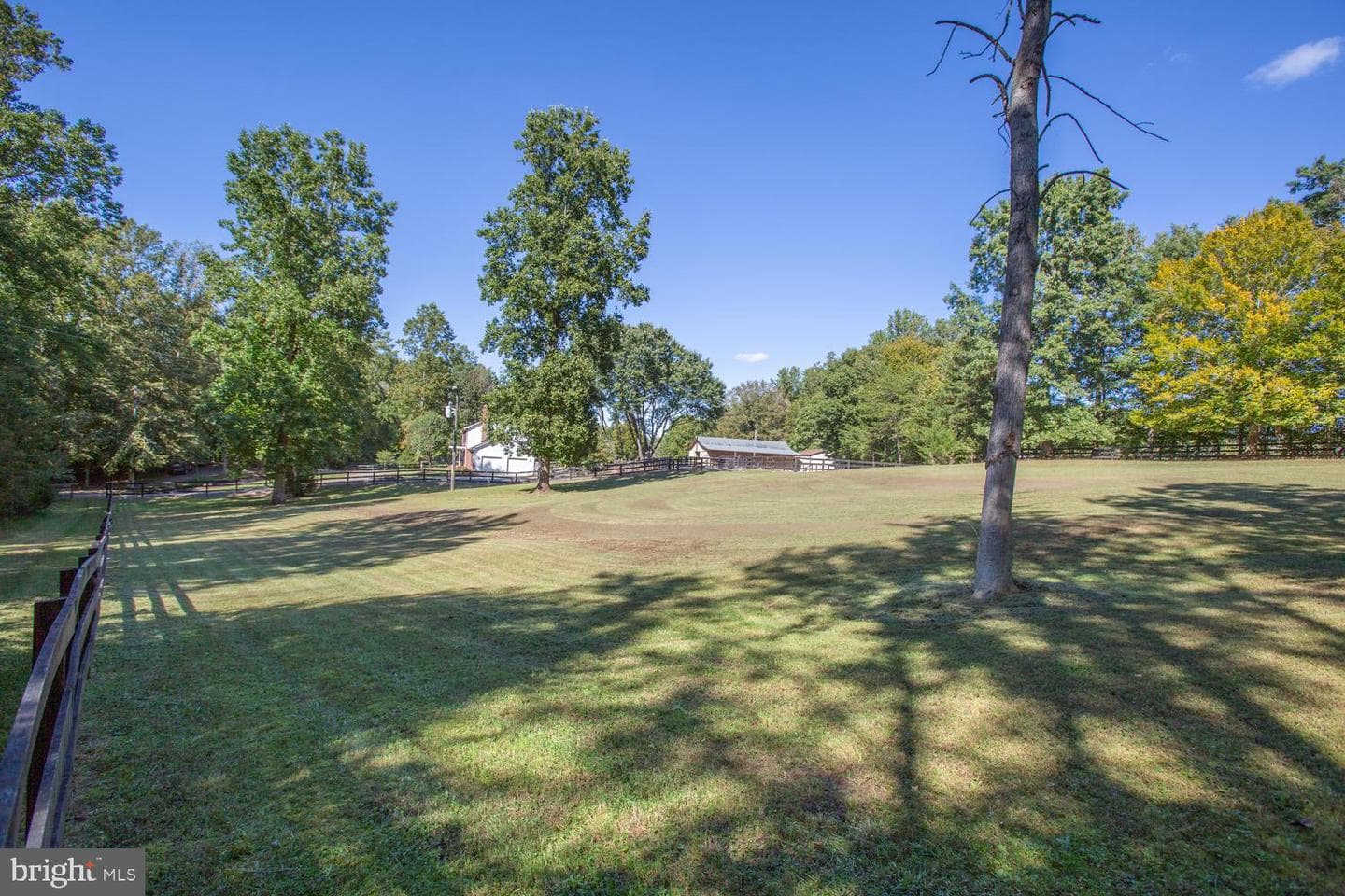 1000 Queen Anne Drive photo 19