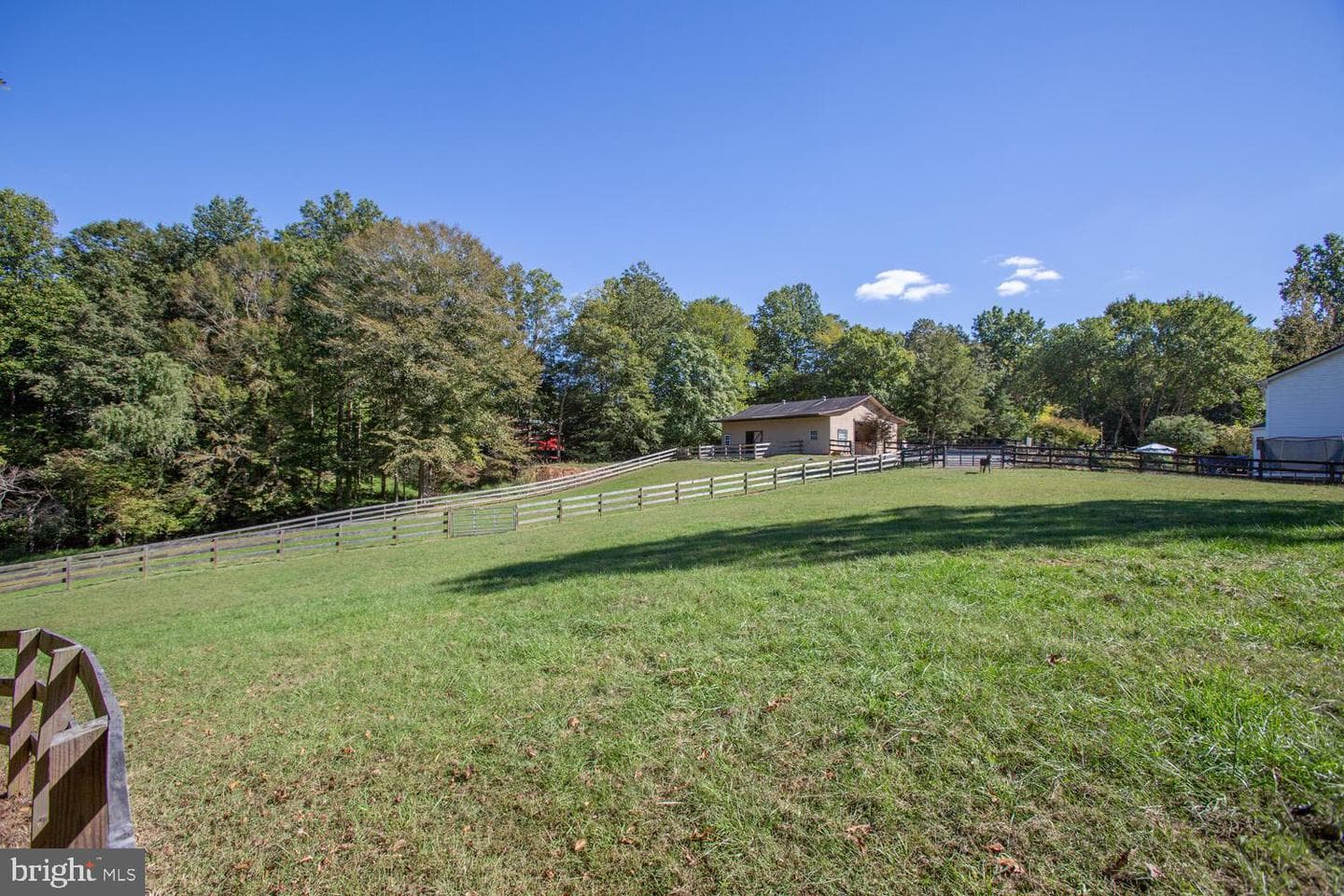 1000 Queen Anne Drive photo 25