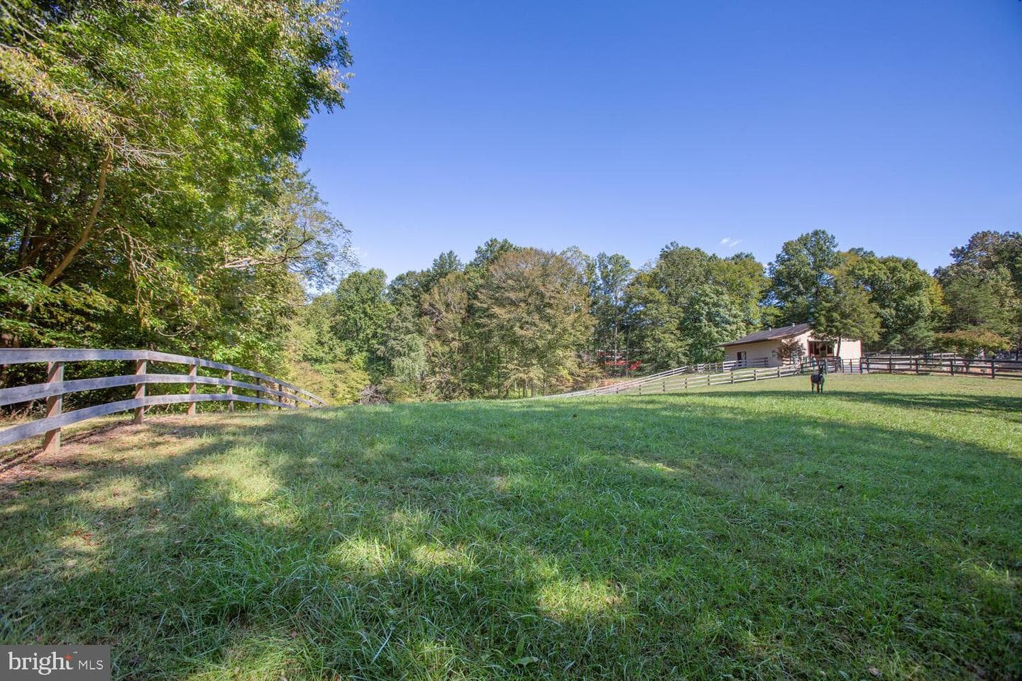 1000 Queen Anne Drive photo 26
