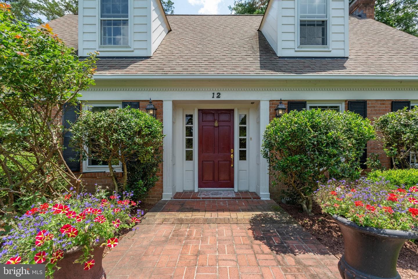 12 Nelson Street photo 19