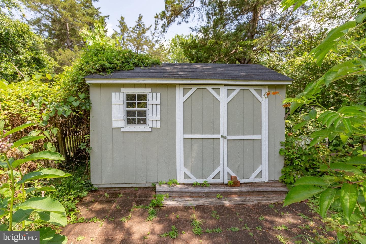 12 Nelson Street photo 48