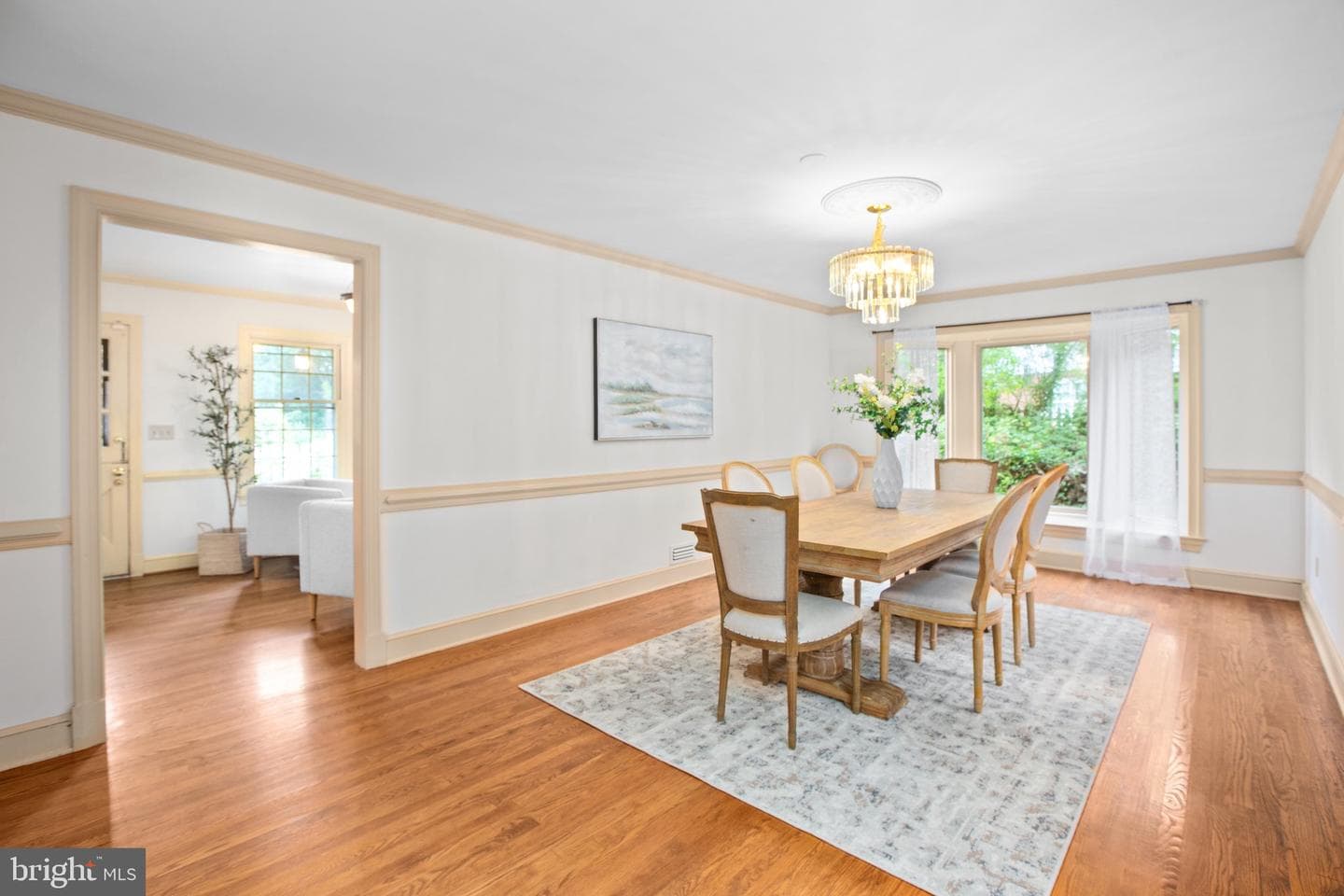 12 Nelson Street photo 50