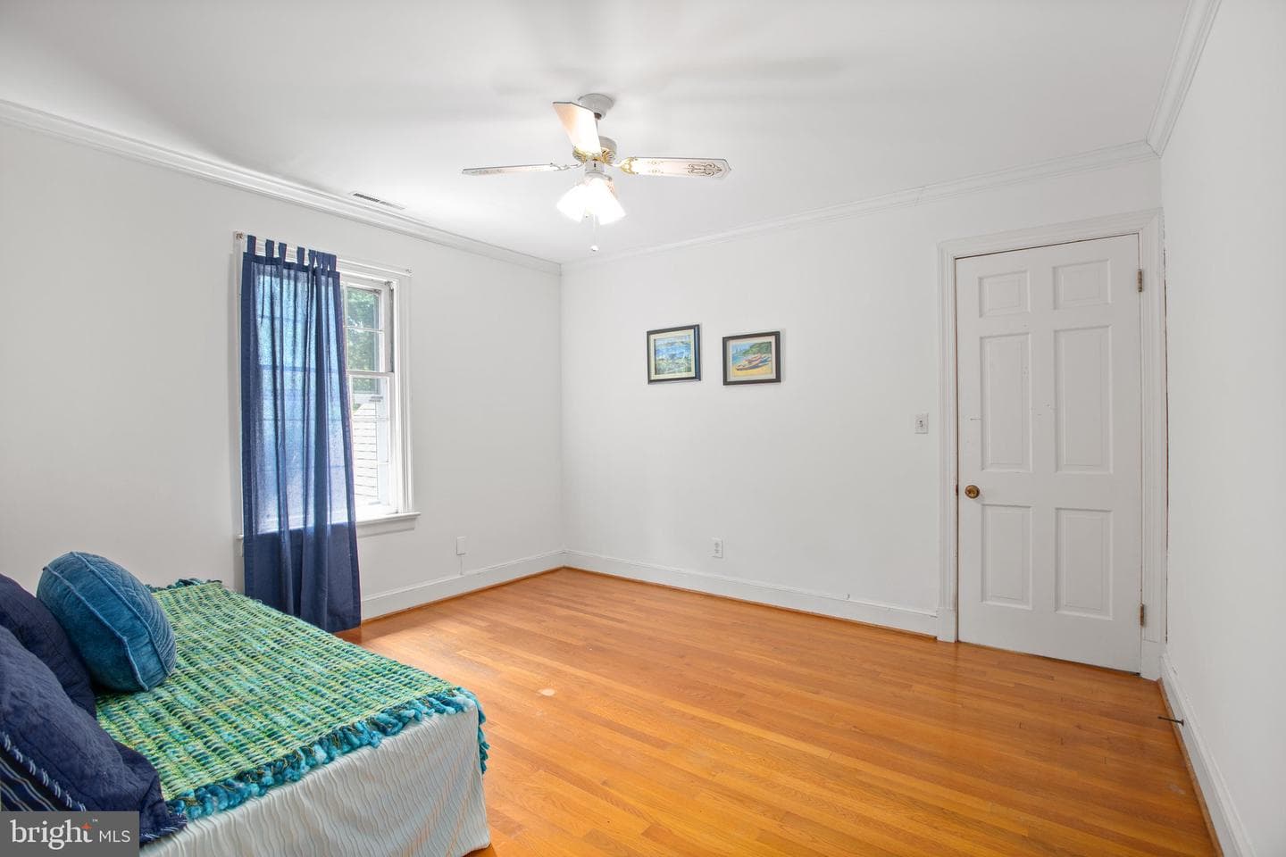 12 Nelson Street photo 62