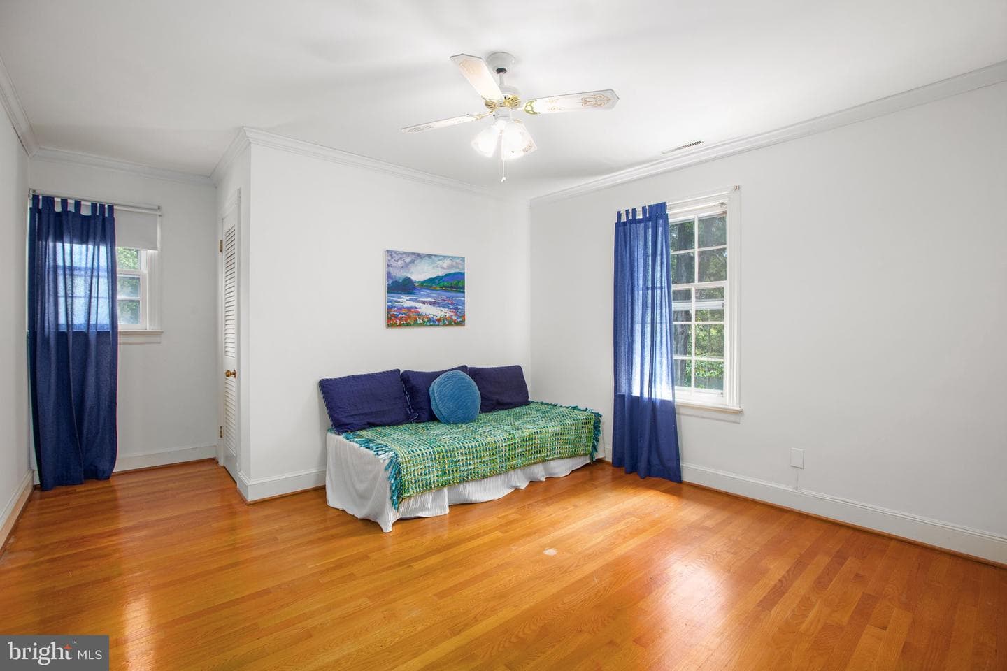 12 Nelson Street photo 63