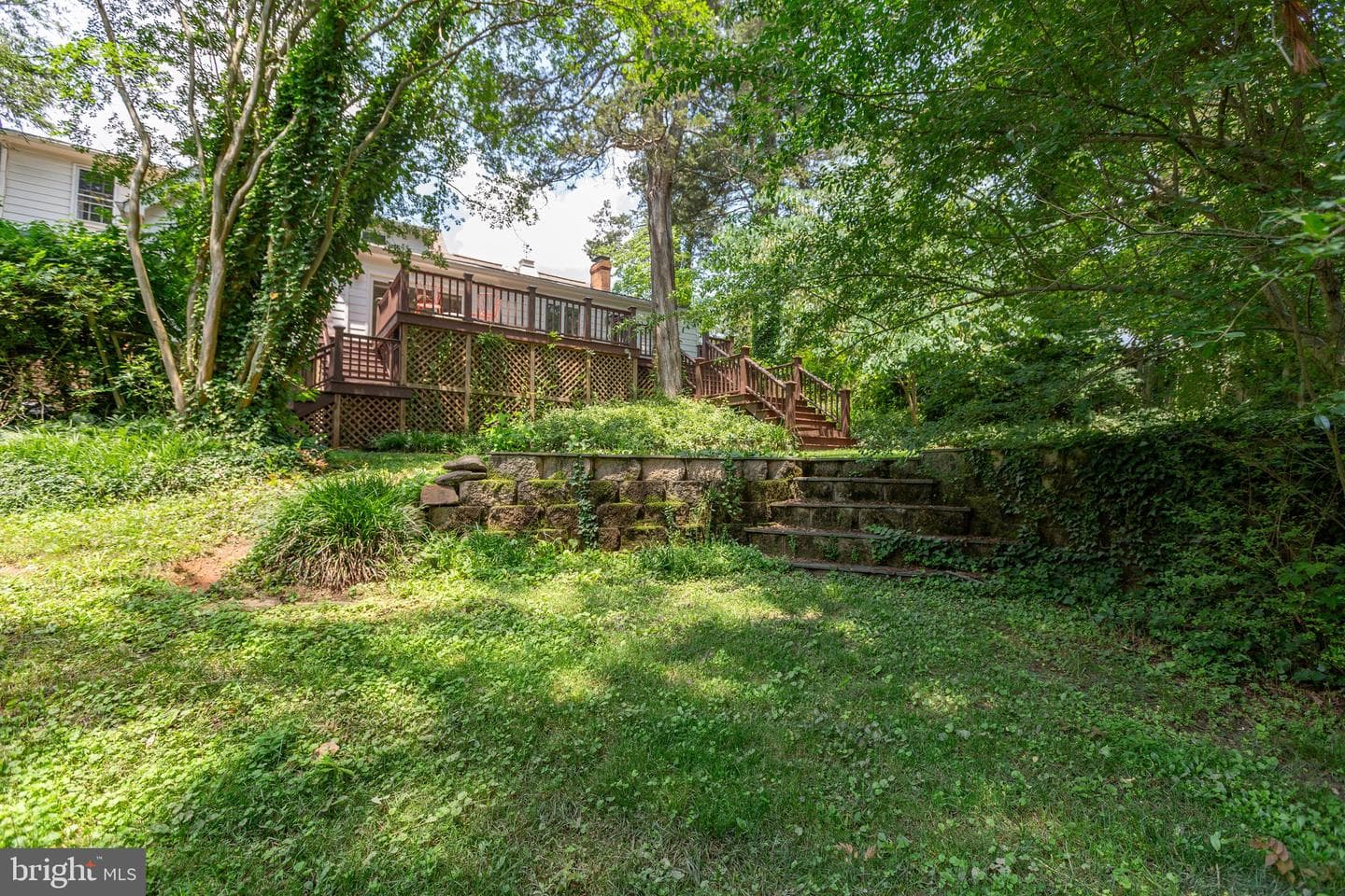 12 Nelson Street photo 80