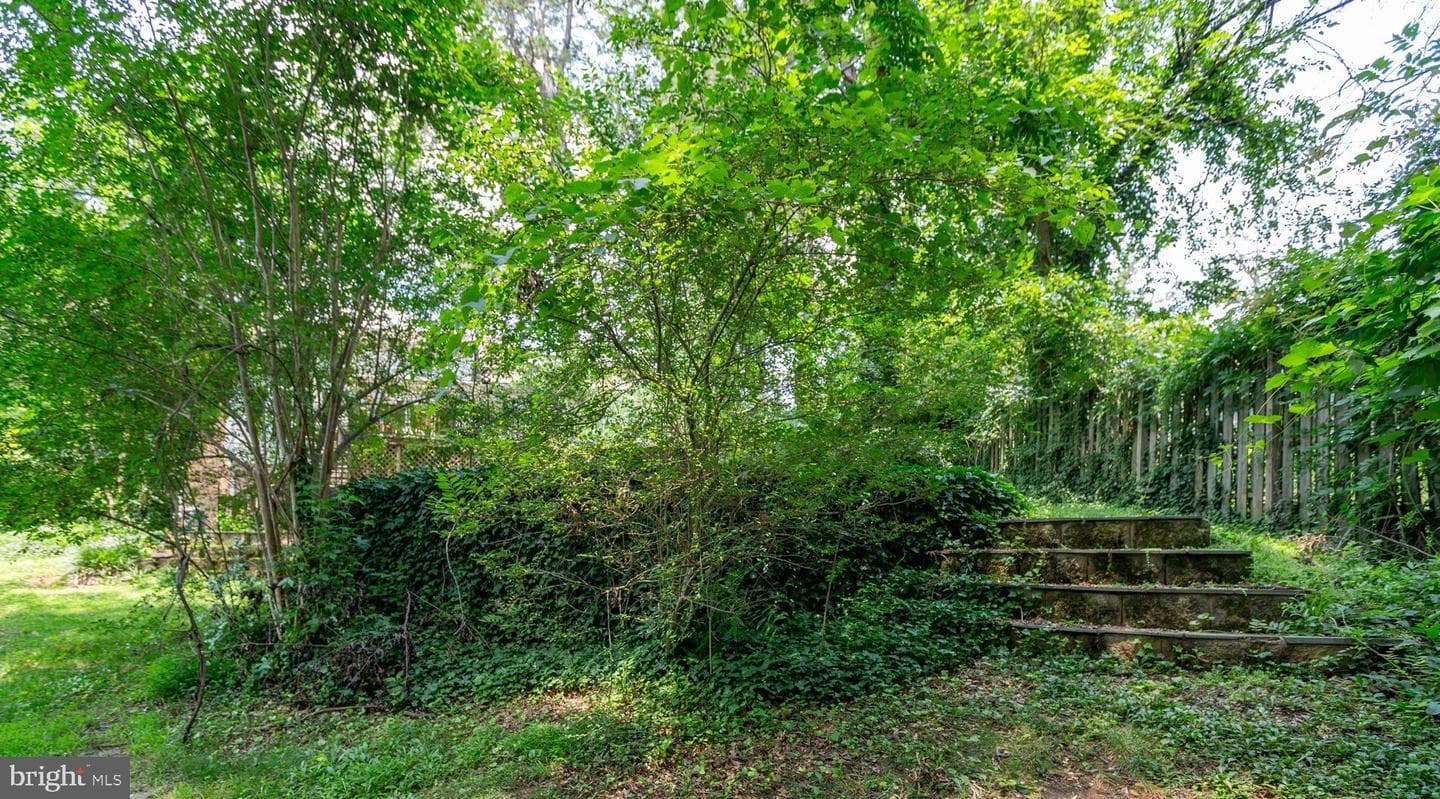 12 Nelson Street photo 81