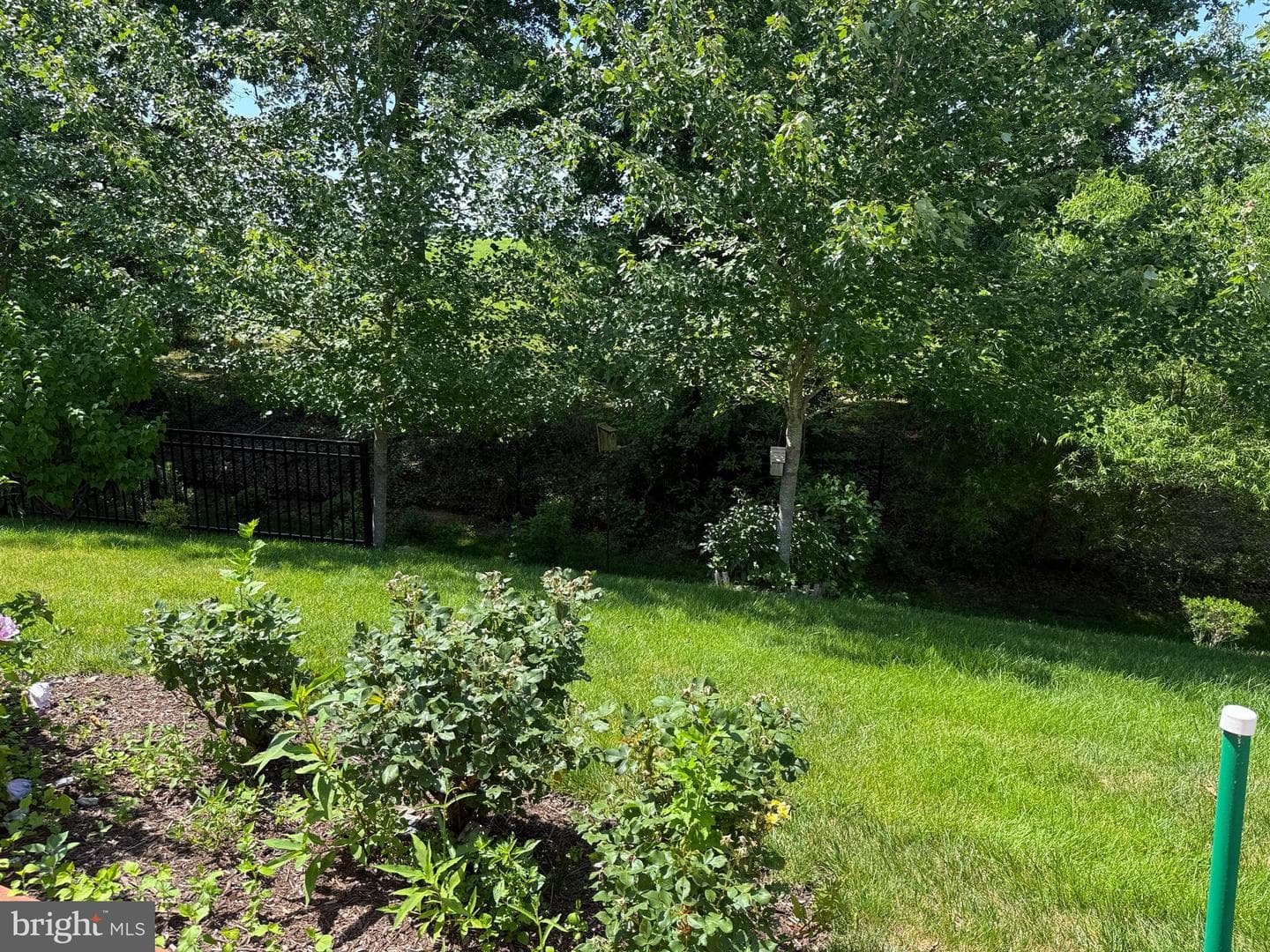 213 Long Point Drive photo 17