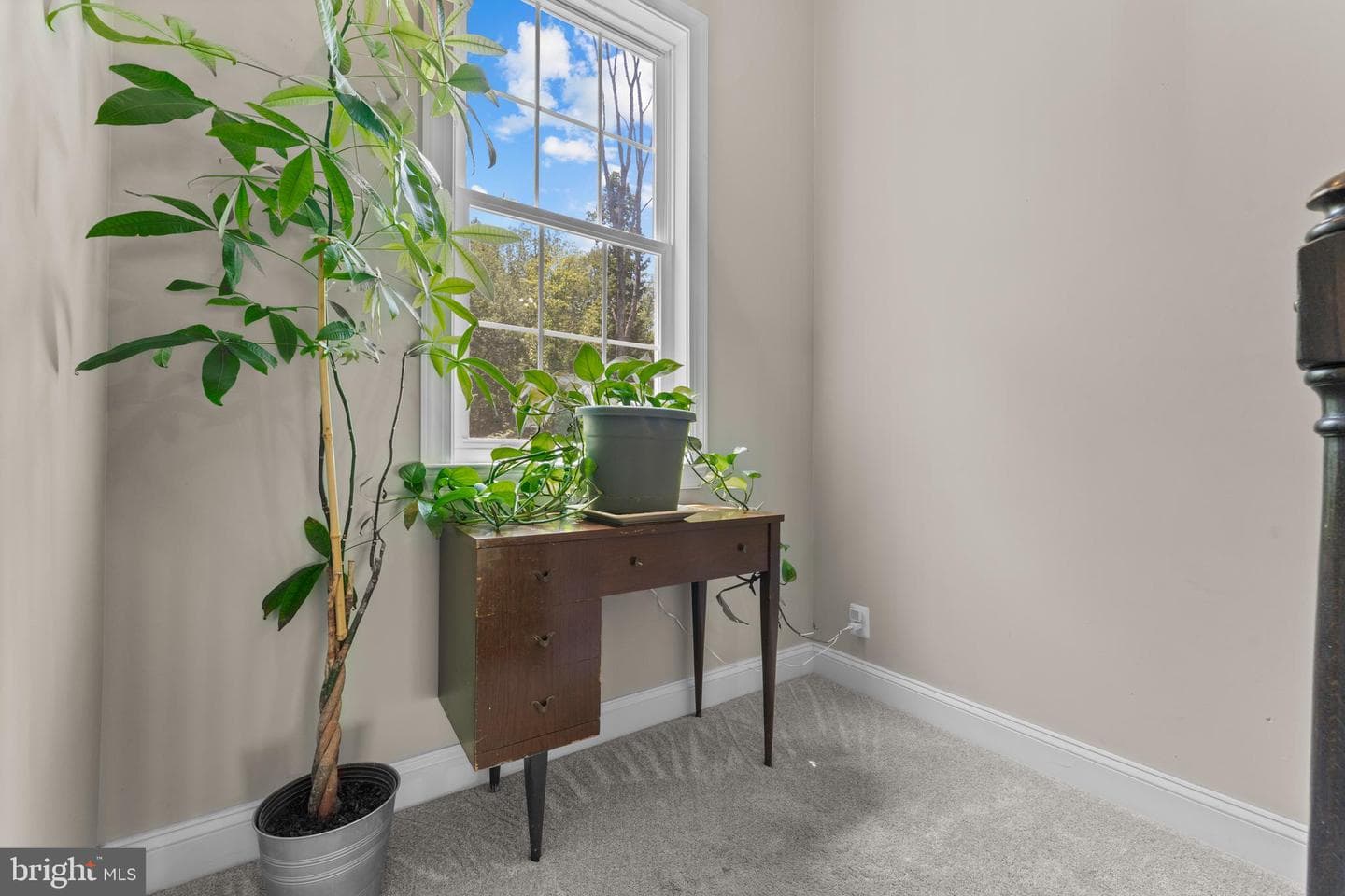 30 Cypress Lane photo 27
