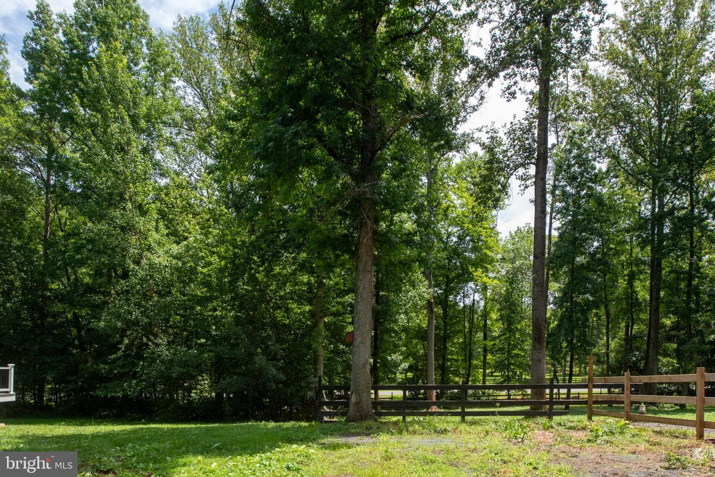 24 Cannon Knolls Drive photo 64