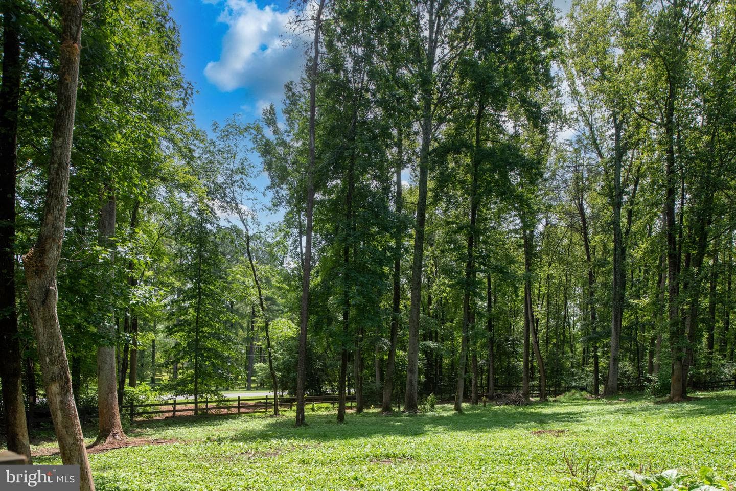 24 Cannon Knolls Drive photo 68