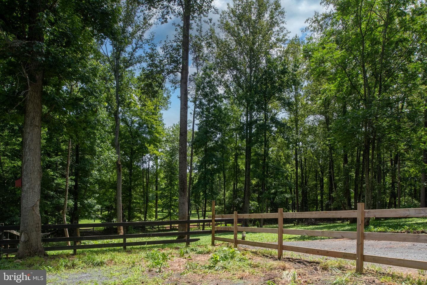 24 Cannon Knolls Drive photo 75