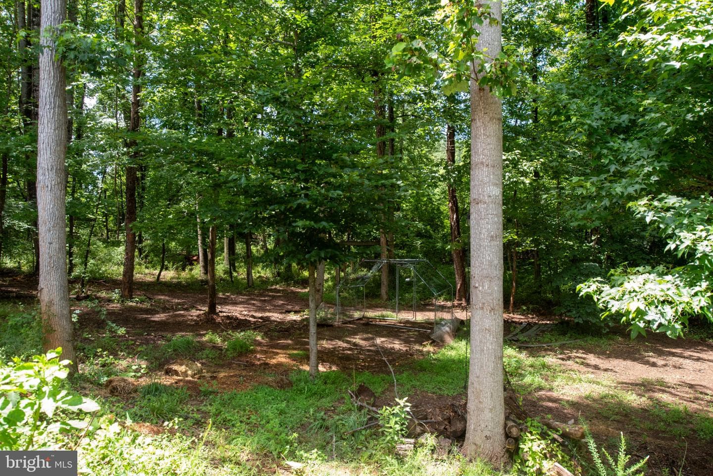 24 Cannon Knolls Drive photo 81