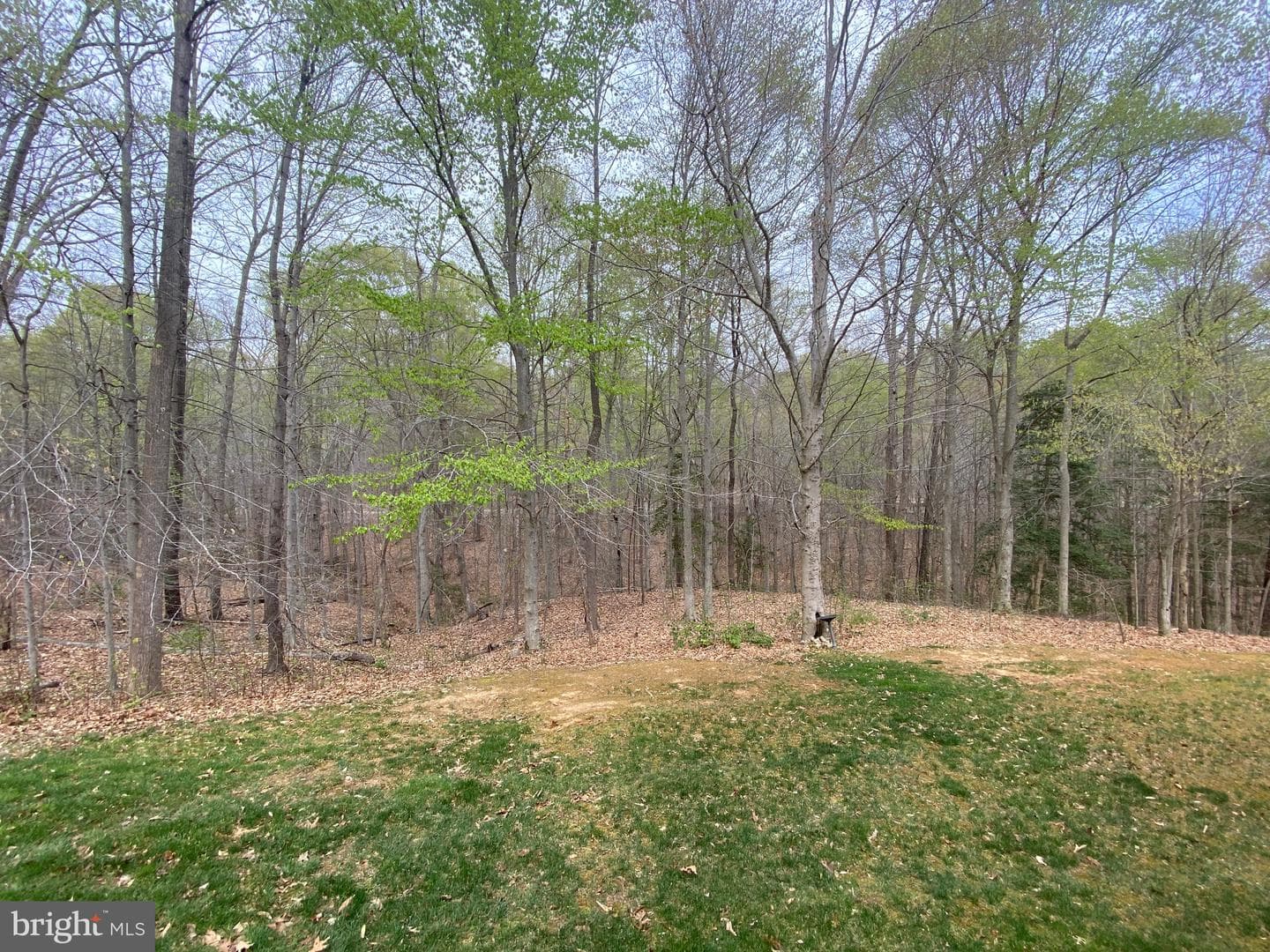 76 Millbrook Road photo 49