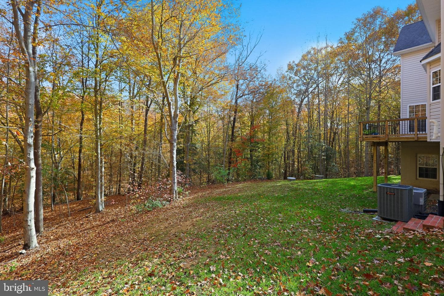 76 Millbrook Road photo 50