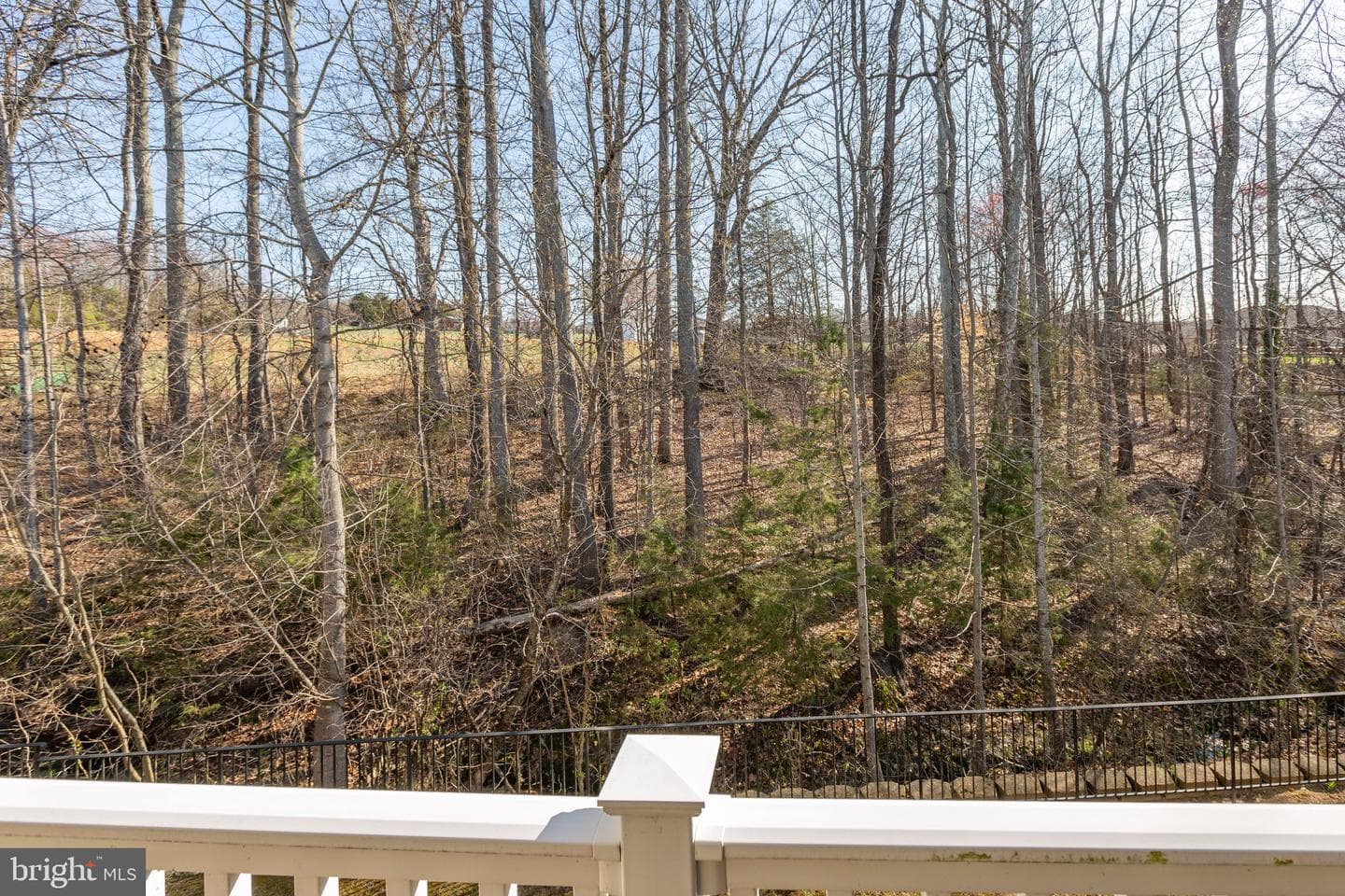 45 Legend Drive #2-3 photo 9