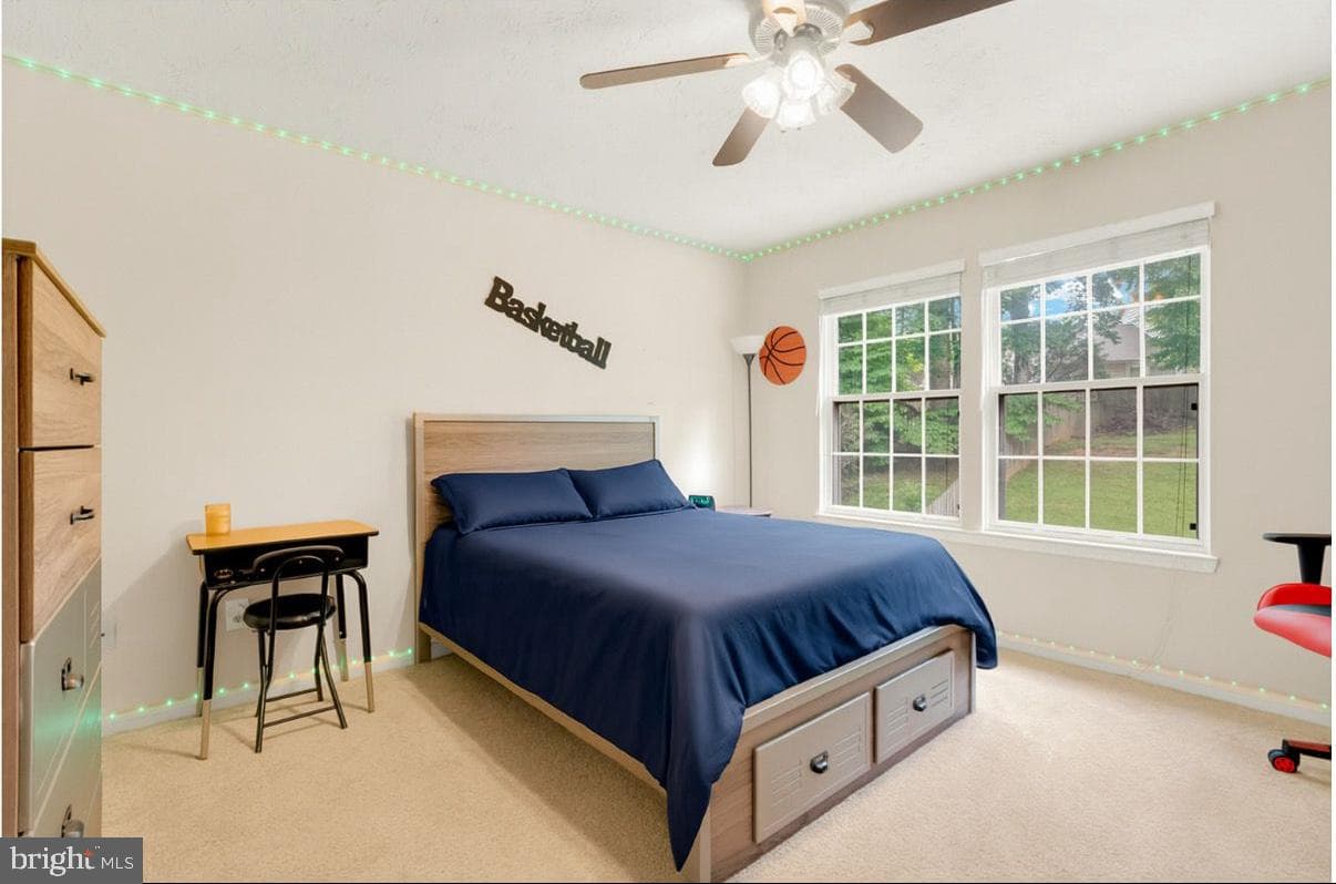 39 Rocky Way Drive photo 26
