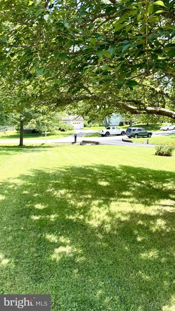 91 Vista Woods Road photo 4