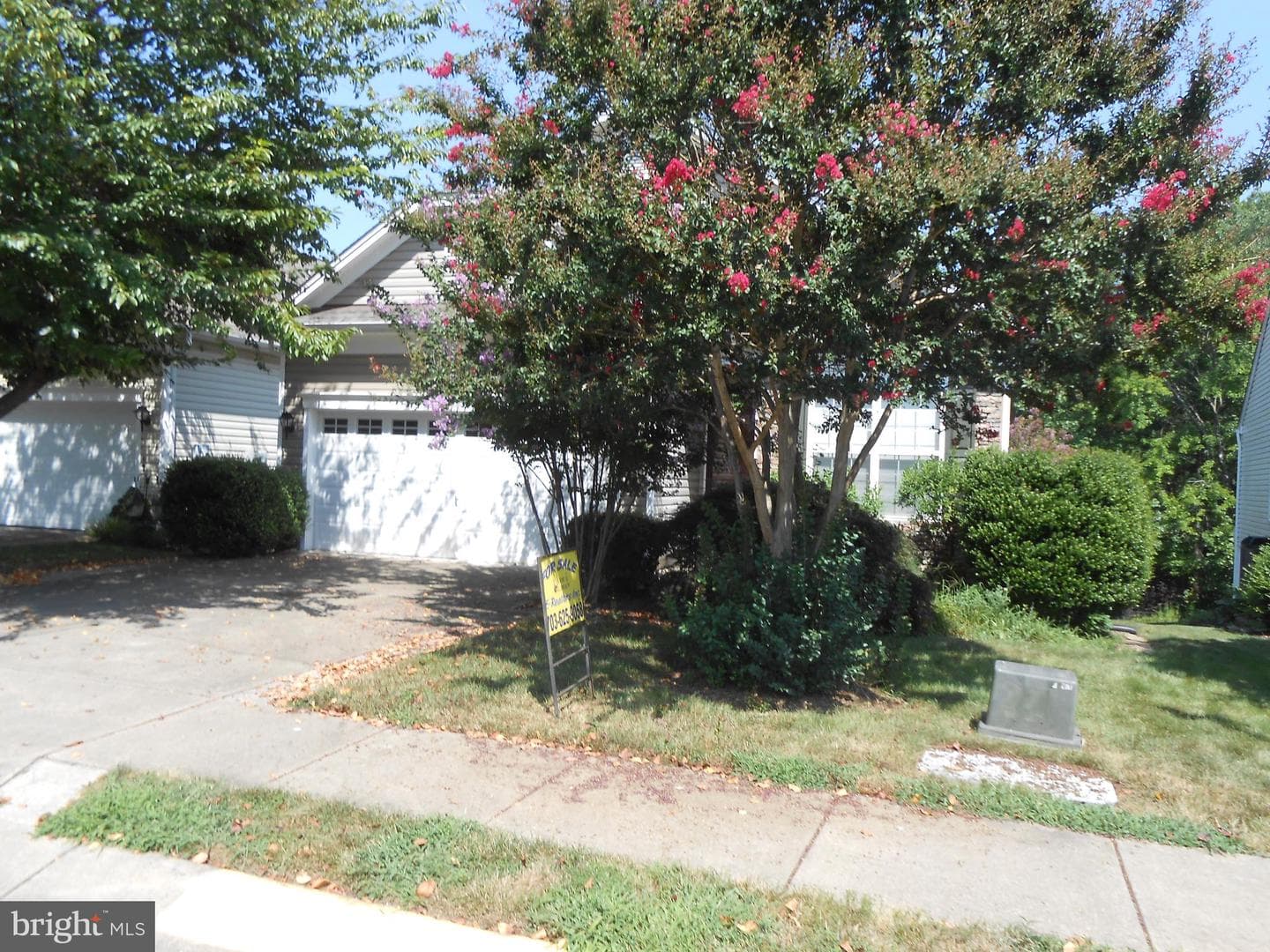 286 Bridgewater Circle photo 2