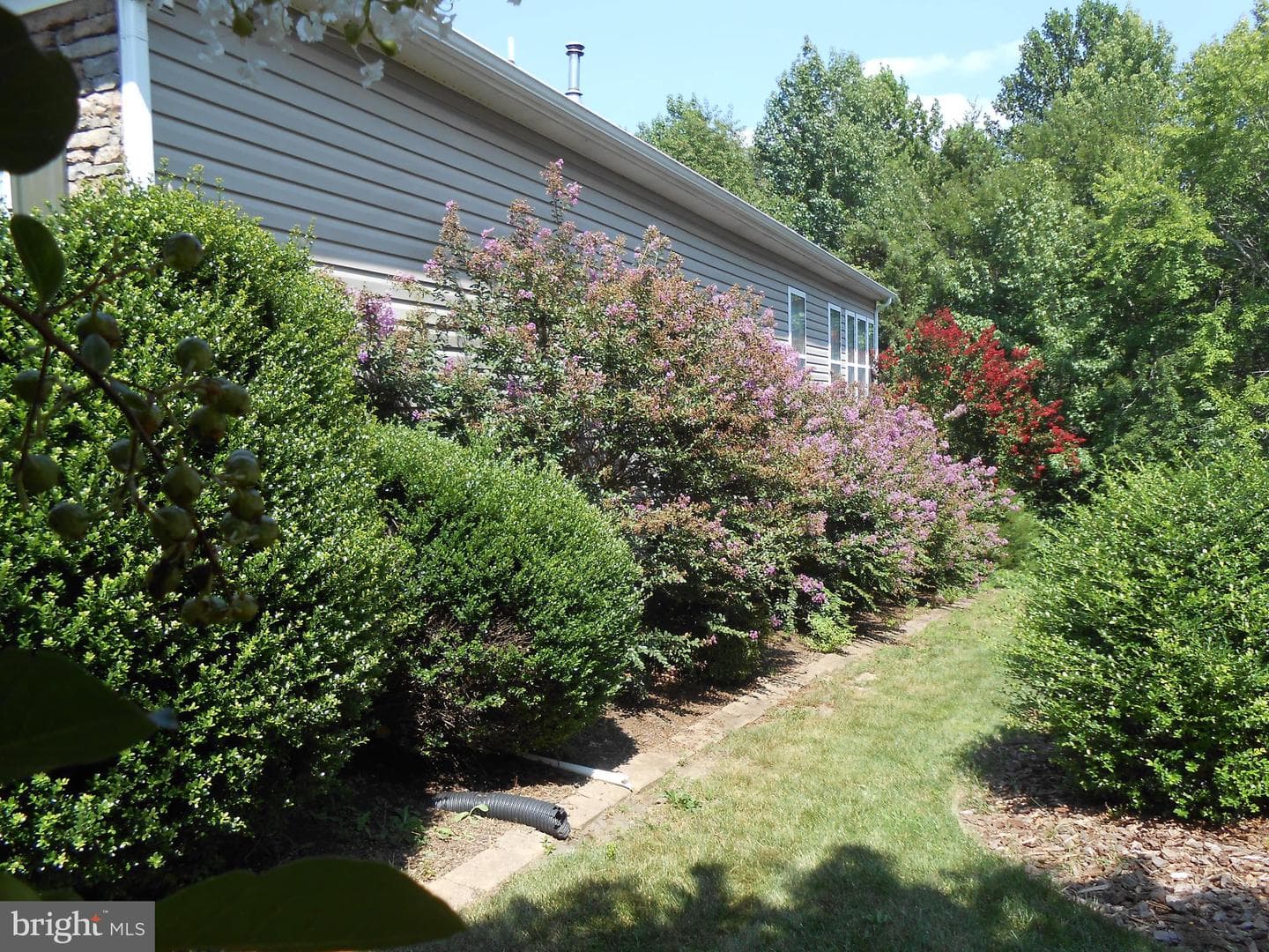 286 Bridgewater Circle photo 26