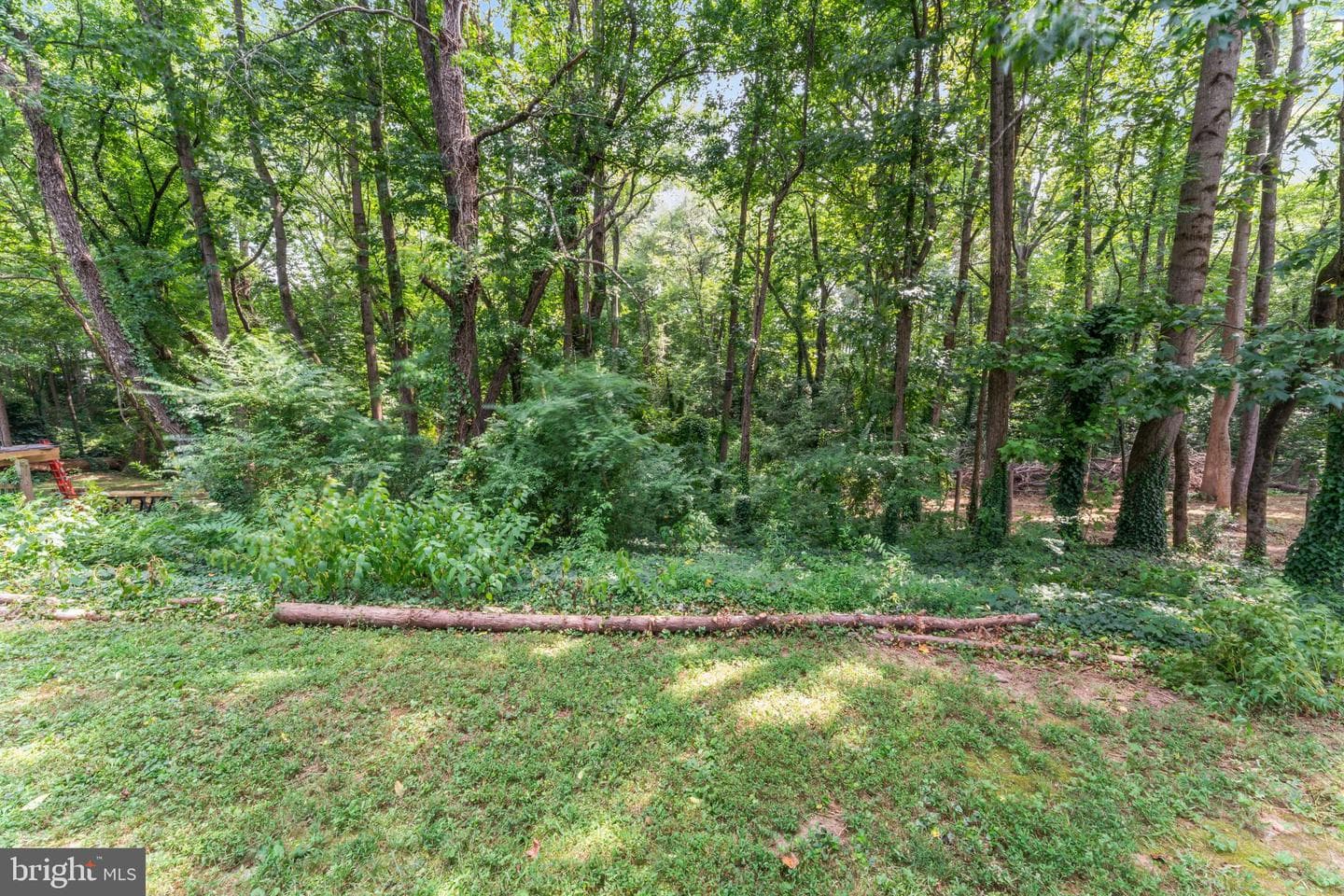8 Falling Water Court photo 31
