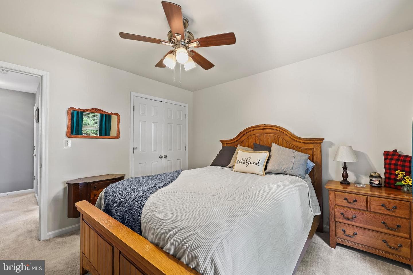 1 Frantz Court photo 13