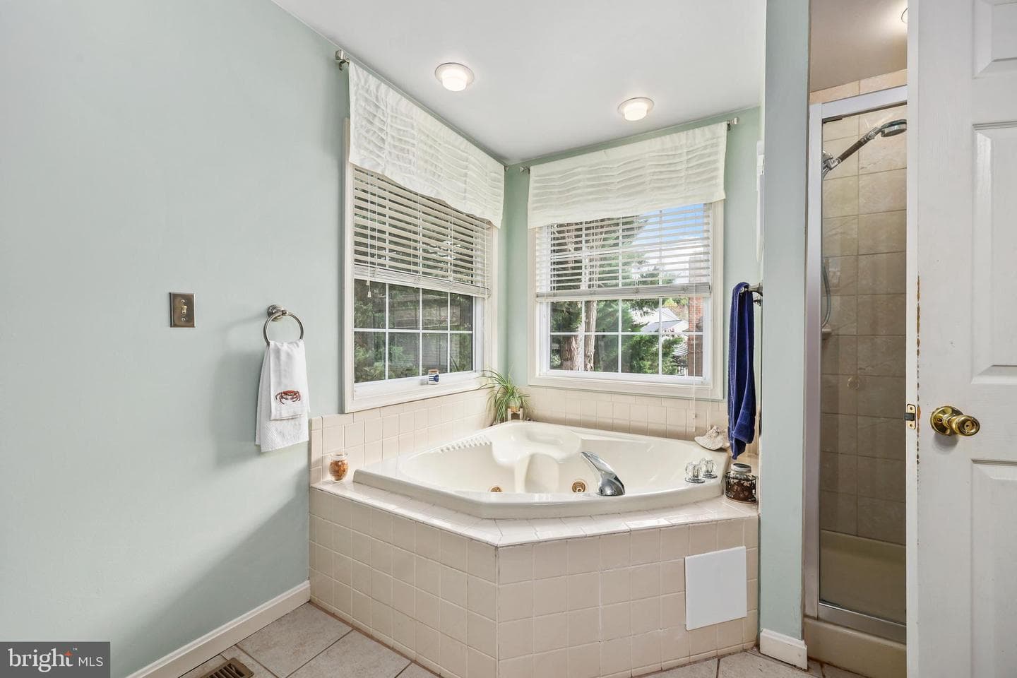 1 Frantz Court photo 24