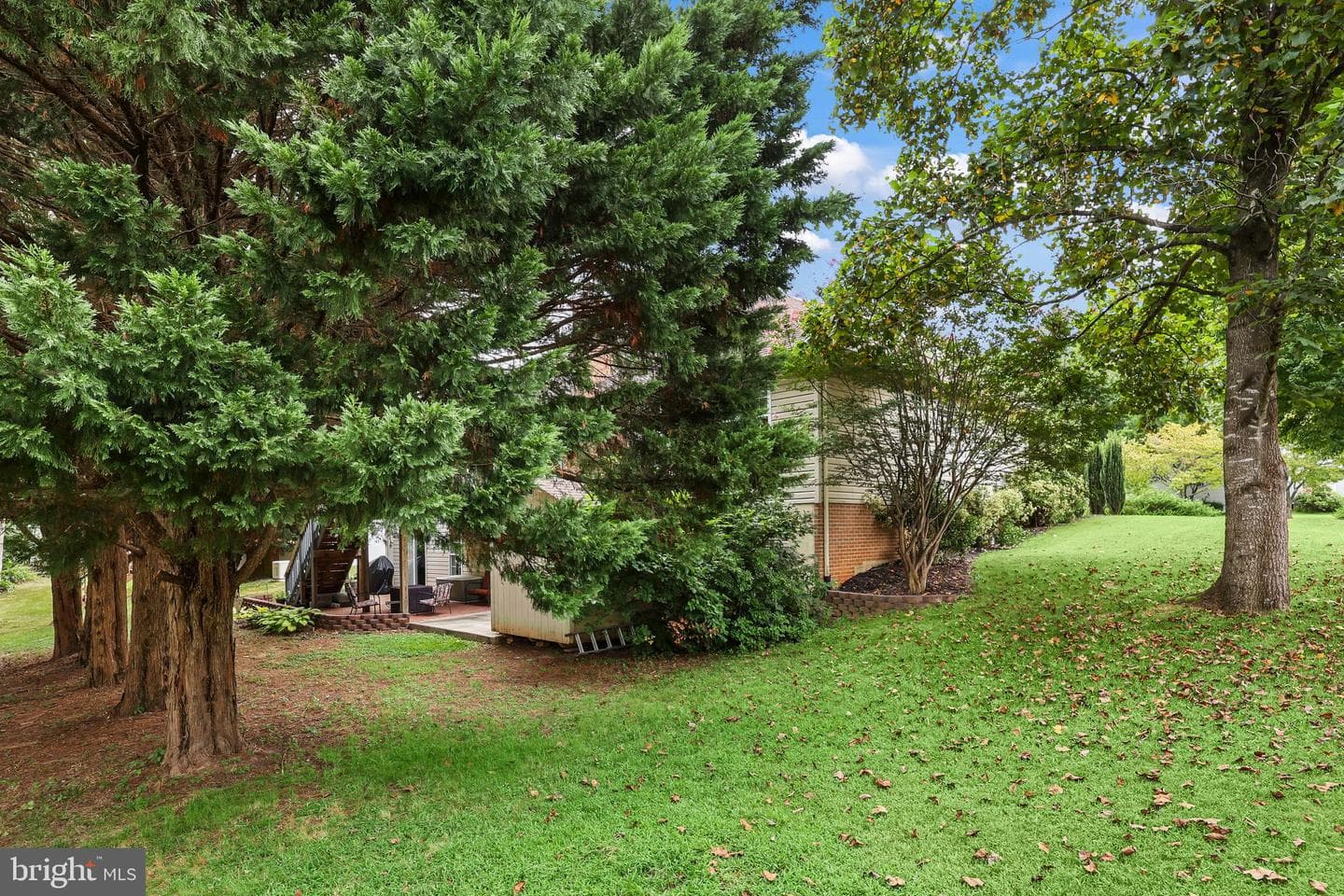 1 Frantz Court photo 40
