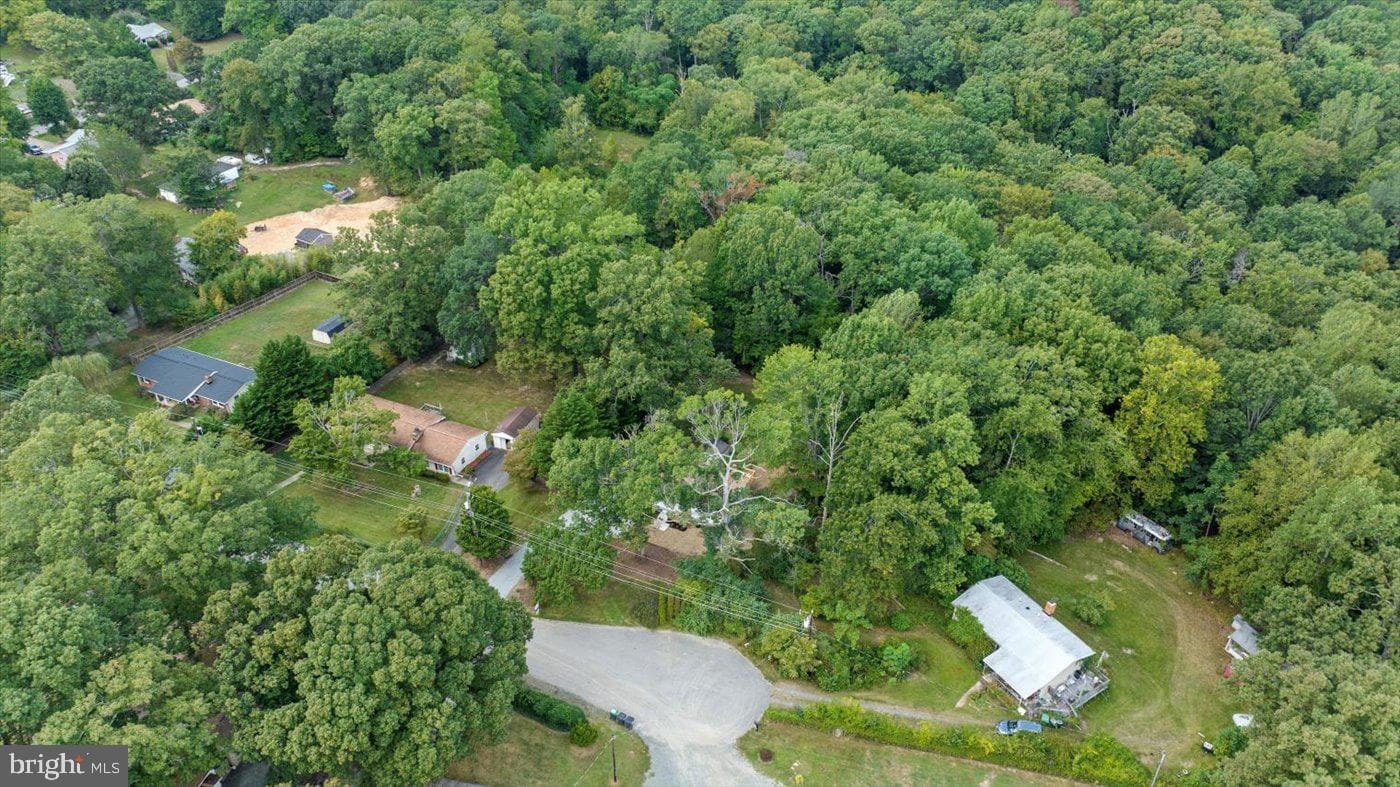 9 Doyle Place photo 33