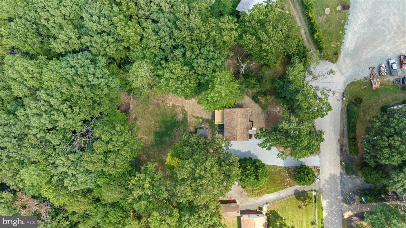 9 Doyle Place photo 36