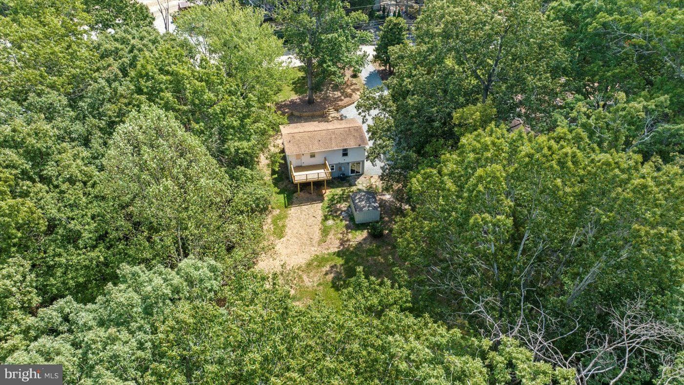 9 Doyle Place photo 41