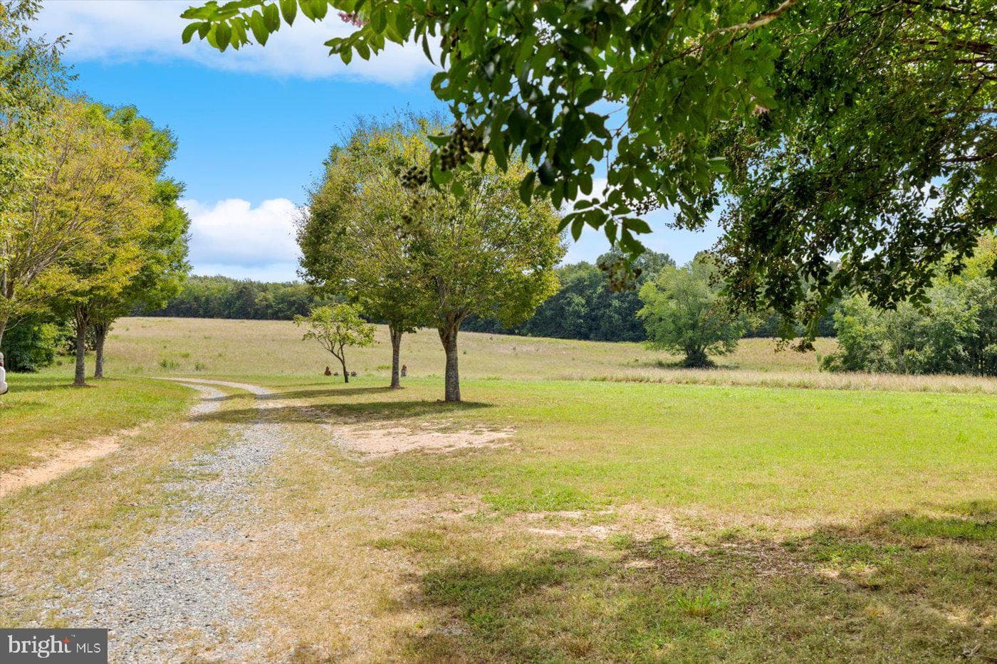 45 Bowling Farm Lane photo 63