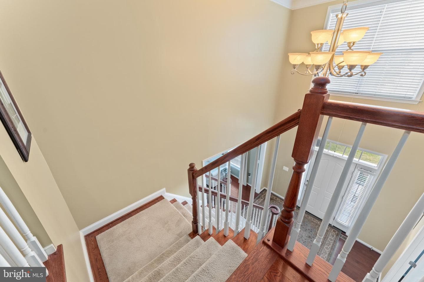 16 Barley Mill Court photo 21