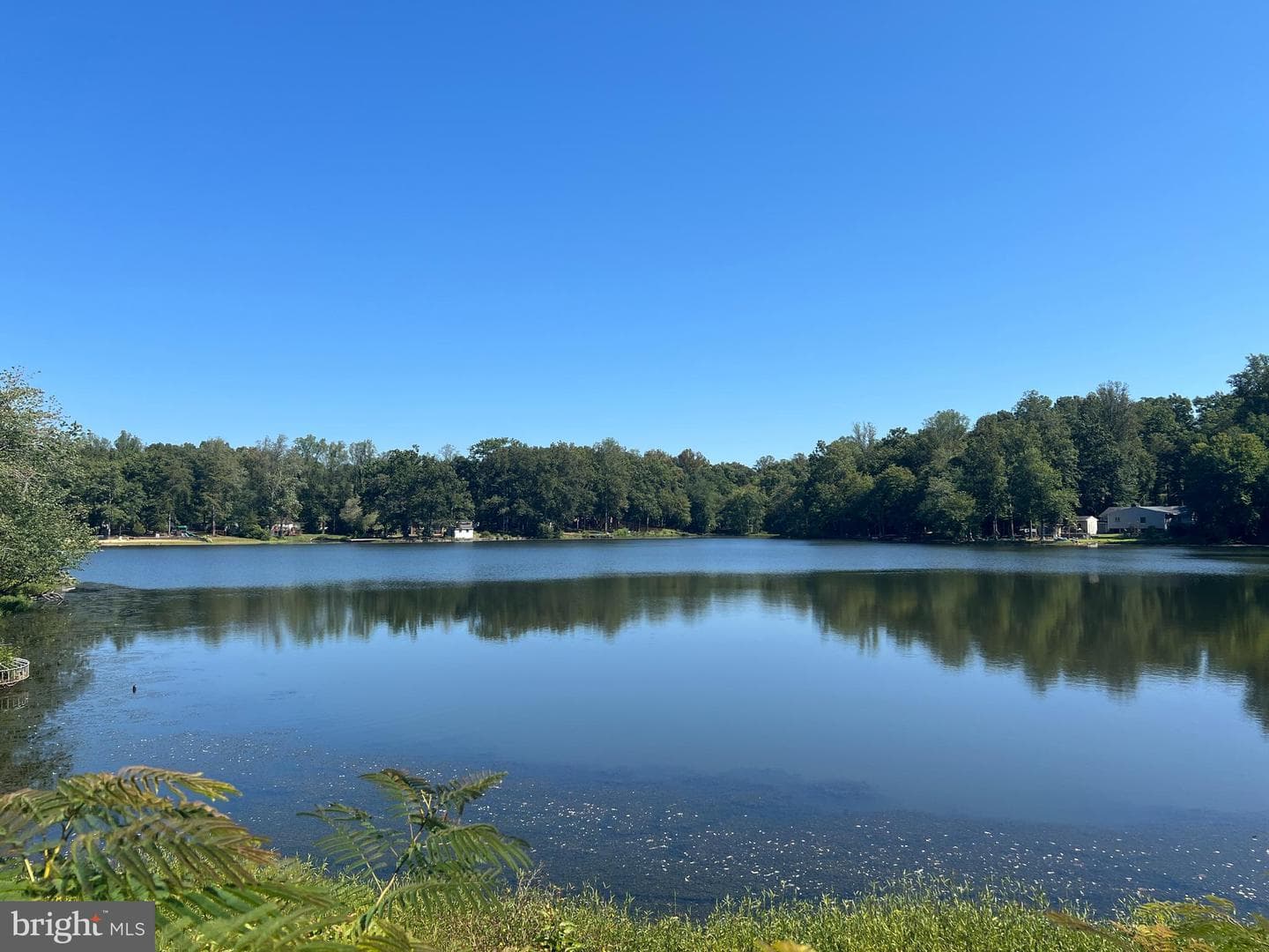 139 Woodland Drive photo 39