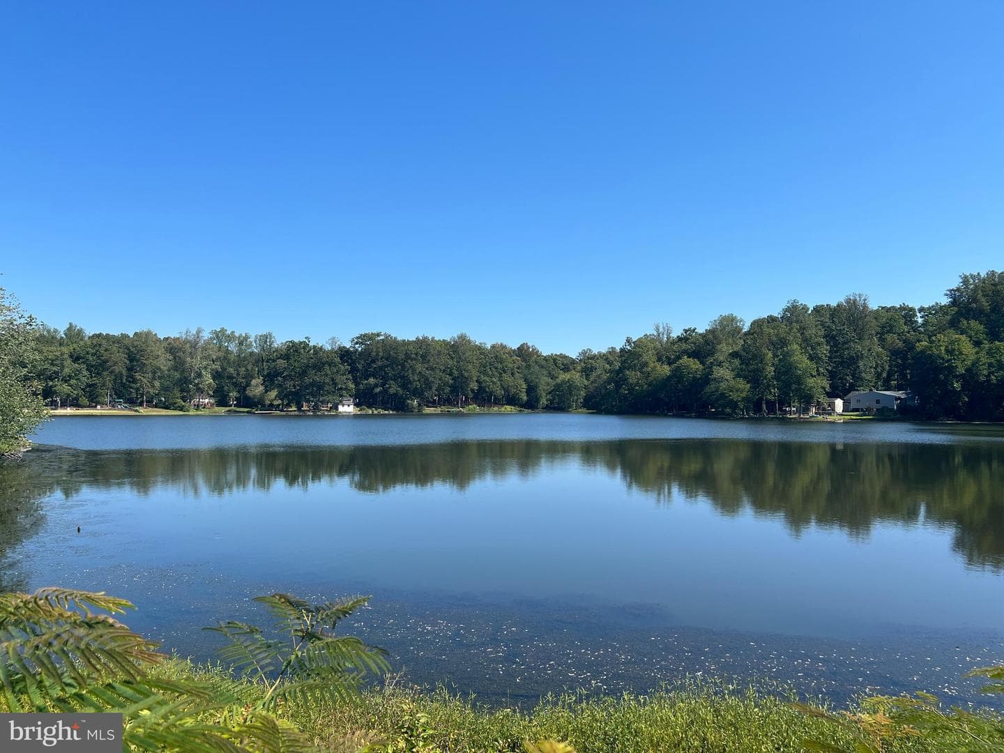 139 Woodland Drive photo 40