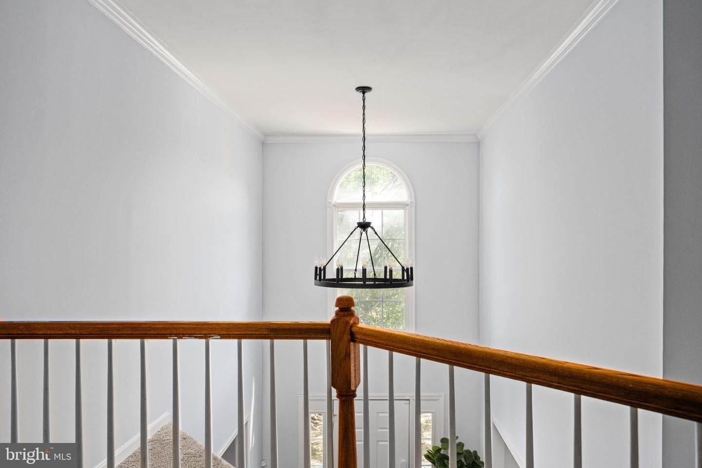28 Raleigh Lane photo 33