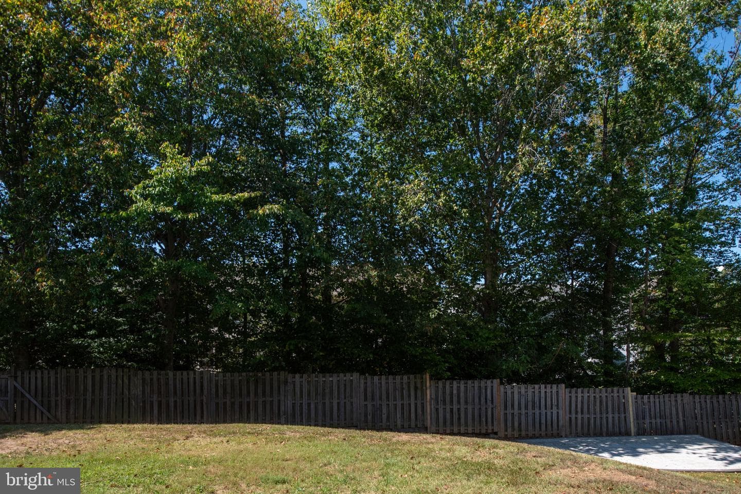 28 Raleigh Lane photo 67